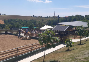 widok na lokalną stadninę koni