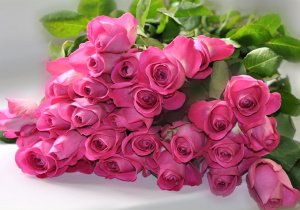 bukiet z wielu różowych róż