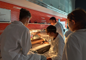Ćwiczenia laboratoryjne