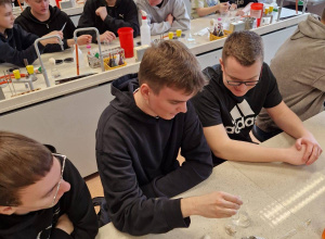 Zajęcia na Wydziale Biologii UŁ