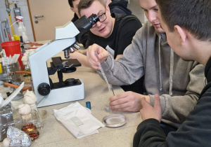 Uczniowie podczas zajęć w laboratorium