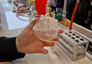 Preparaty biologiczne