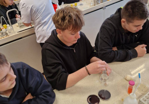 Uczniowie podczas zajęć w laboratorium